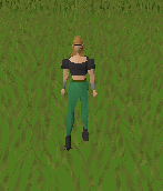 moneybag osrs moneybag osrs