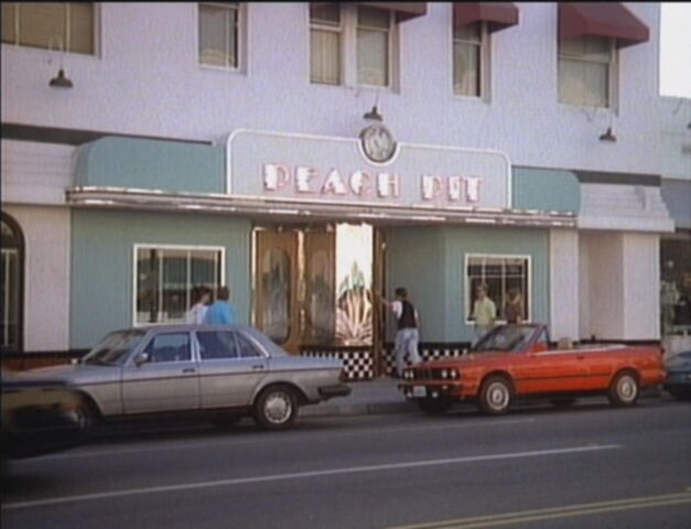 File:PeachPitPic.jpg