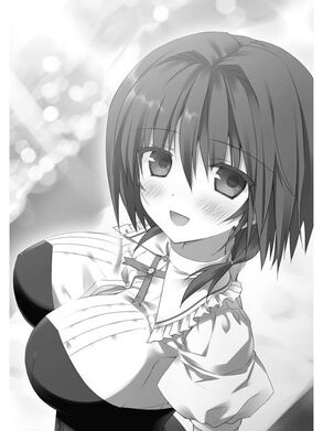 Tooru Kokonoe Relationships Absolute Duo Wiki Fandom
