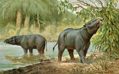Resultado de imagen para mamiferos prehistoricos