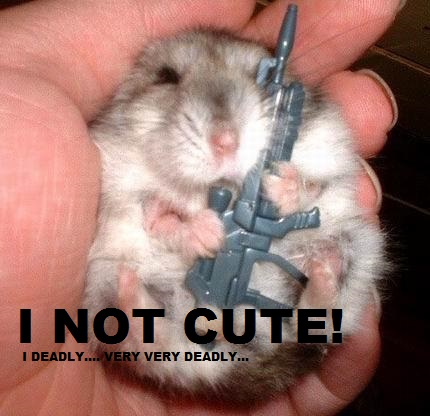 Image - Evil hamster meme.jpg | Adventure Time Wiki | FANDOM powered by
