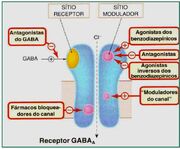 GABA.jpg