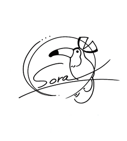 Sign sora