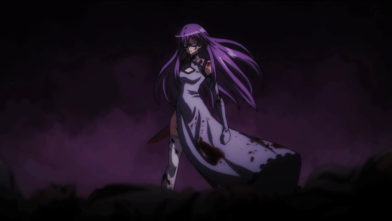 Image Sheele.png Akame Ga Kill! Wiki Fandom powered by Wikia