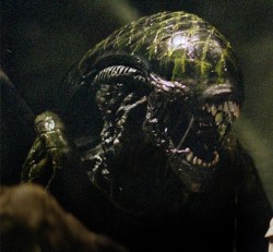 grid xenomorph