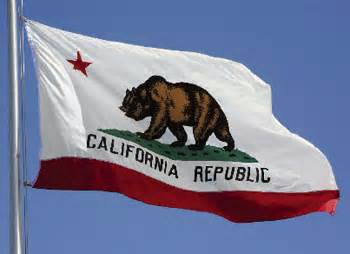the bear flag revolt Bear flag revolt (modernized) - border, solid by devincook created 2013-03-01 description this image is a recreation of the original bear flag using the lettering, bear, and colors of the modern flag of california. the bear flag revolt Bear flag revolt (modernized) - border, solid by devincook created 2013-03-01 description this image is a recreation of the original bear flag using the lettering, bear, and colors of the modern flag of california.