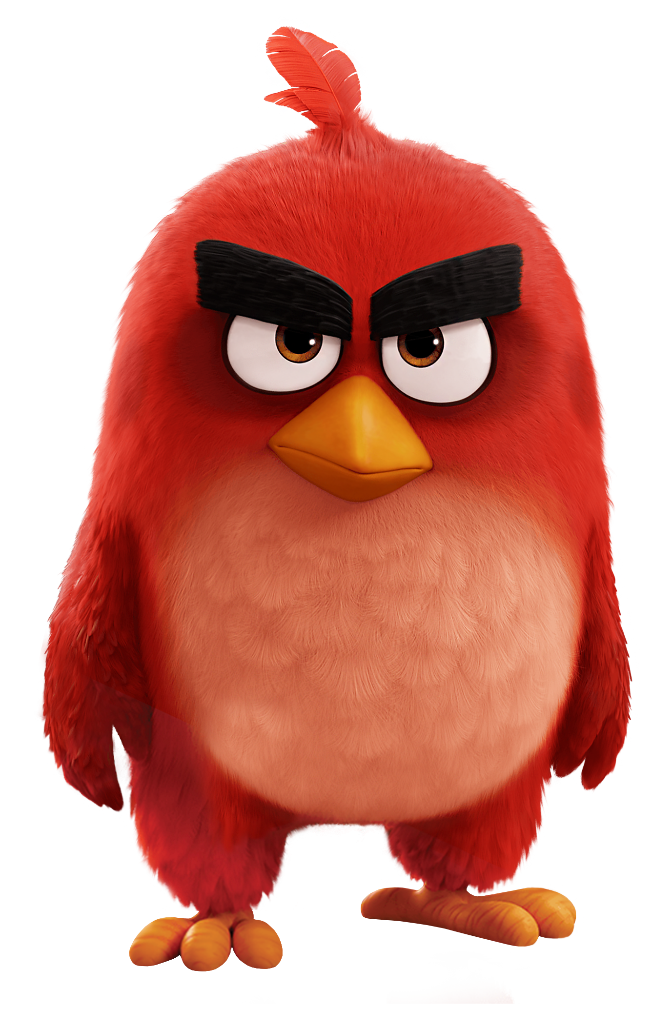 AngryBirdsNest