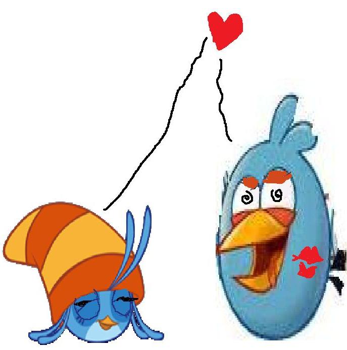 Image Willow besö a Jay.jpg Angry Birds Wiki Fandom powered by Wikia