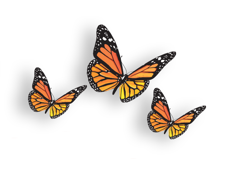 Dating but no butterflies