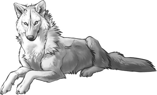 Image - Free wolf pose by sullivan-d3fpbdx.png | Animal Jam Clans Wiki