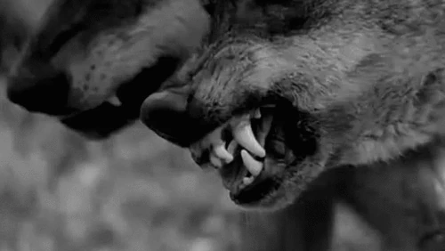 latest?cb=20160610054314