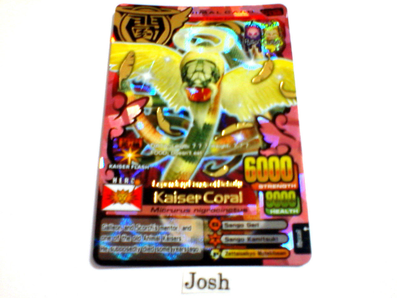 Kaiser Coral | Animal Kaiser Ver - Evo Wiki | Fandom powered by Wikia