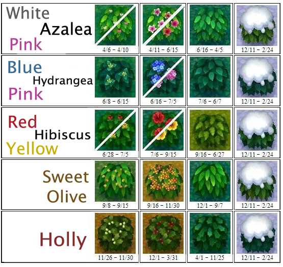 leaf guide leaf guide