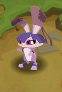 Peck | Animal Jam Wiki | Fandom powered by Wikia