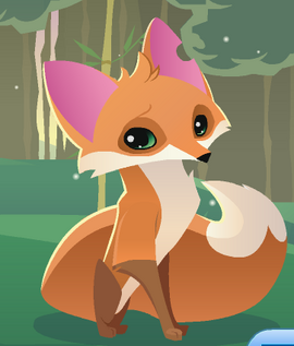 Animal Jam Wikipedia Animal Jam Wikipedia