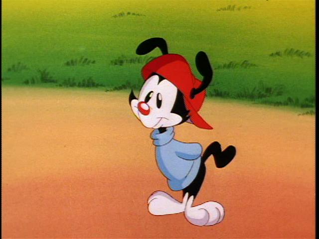 download wakko download wakko
