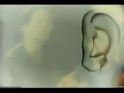 How Yeerk enter a host's brain