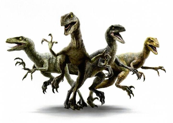 the four velociraptors in jurassic world