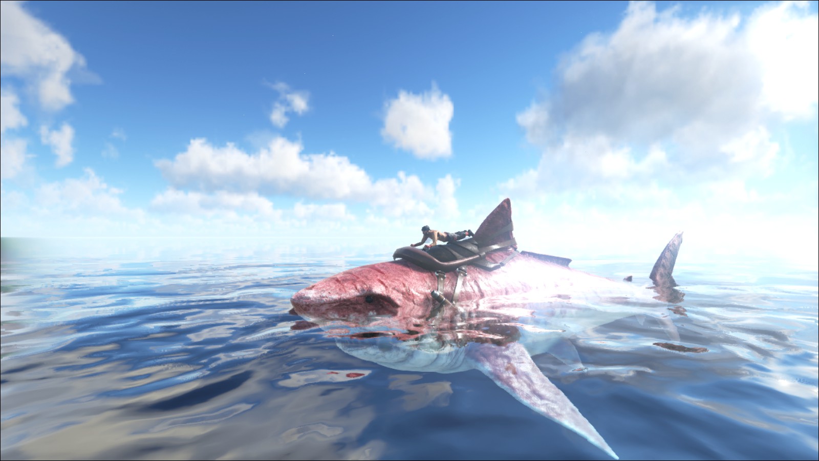 Image - ARK-Megalodon Screenshot 010.jpg | ARK: Survival Evolved Wiki