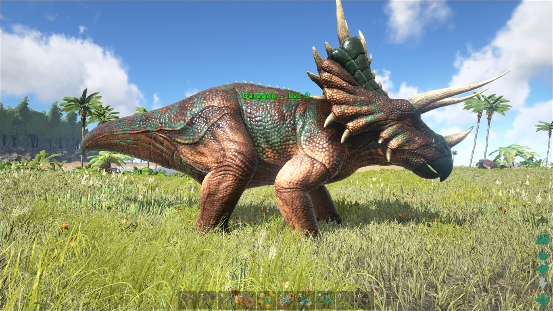 triceratops a