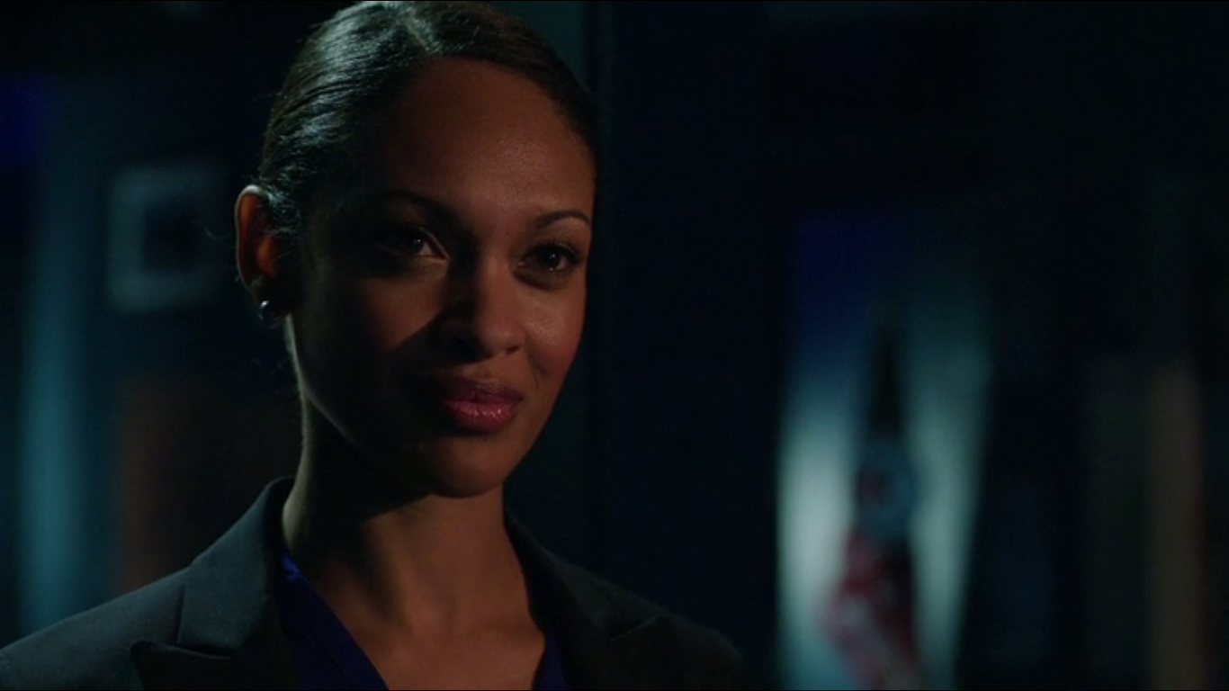 Amanda Waller Wiki Arrowverso Fandom powered by Wikia