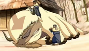 Appa mimado.png