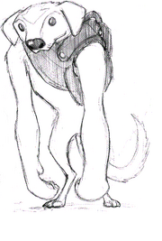 Appa primer boceto.png