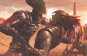 Tarkatankotalfight