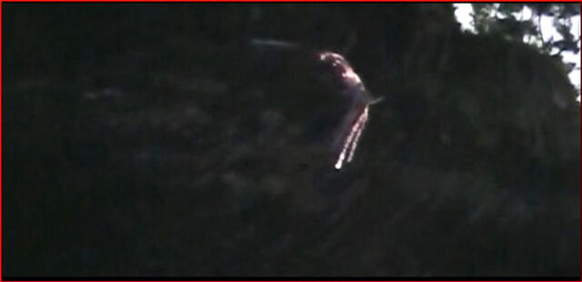 File:The falcon.jpg