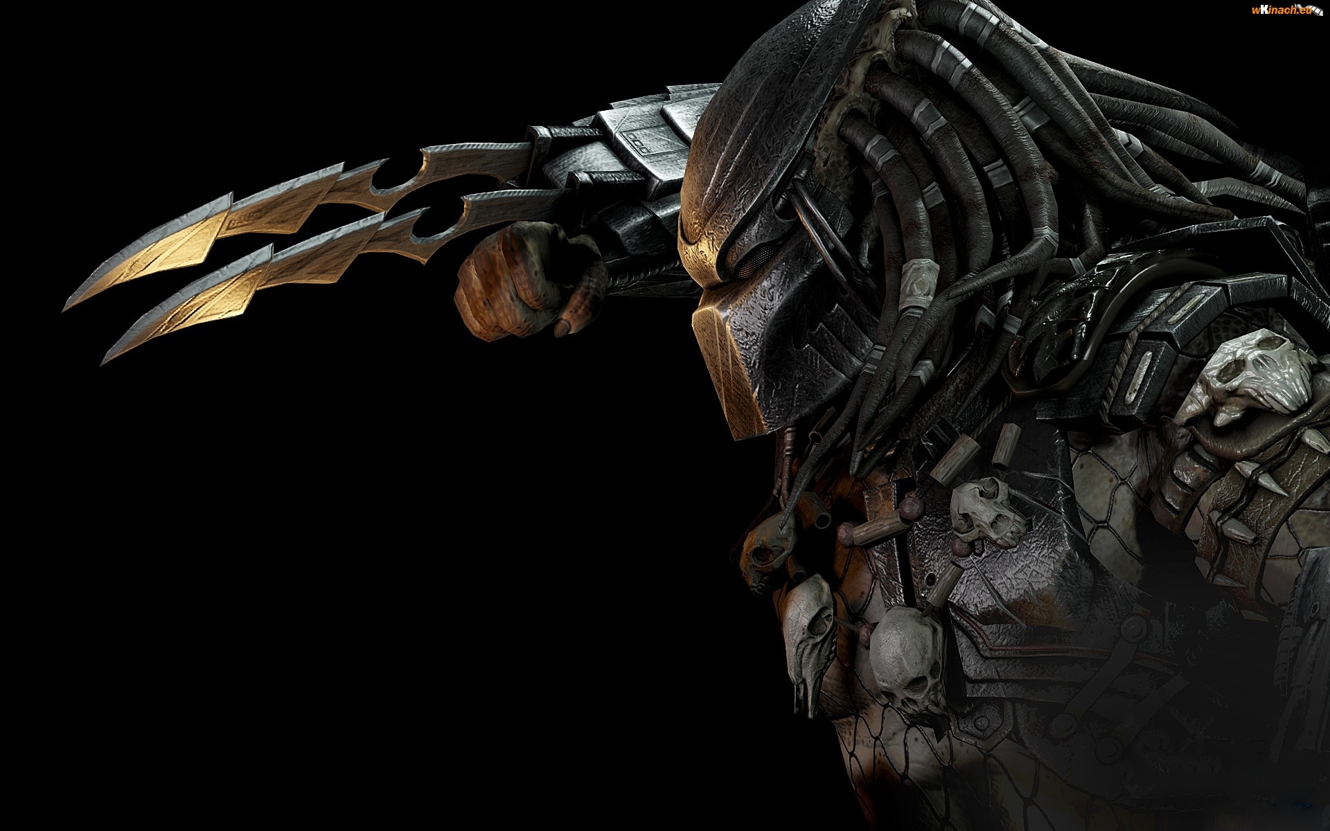 Image - Alien-vs-predator-tapeta-na-pulpit-581538.jpg | Xenopedia ...