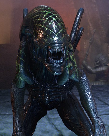 Aliens vs. Predators: Ultimate Prey, Xenopedia