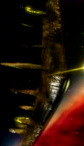 File:FirstoneShip 05.png