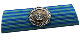 BF4_Carrier_Assault_Ribbon.png