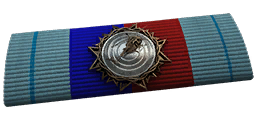 BF4_Scout_Helicopter_Ribbon.png