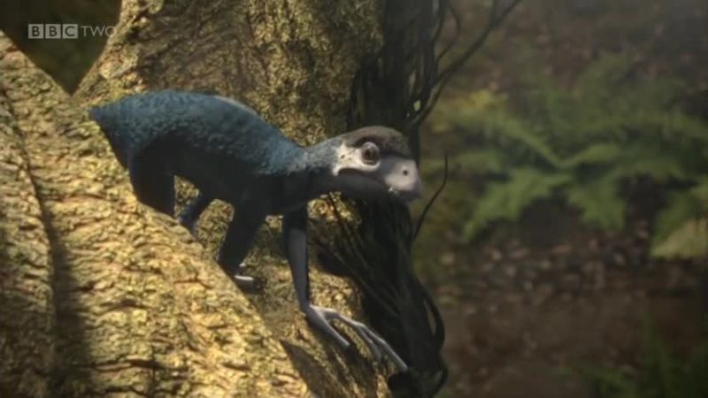 epidexipteryx
