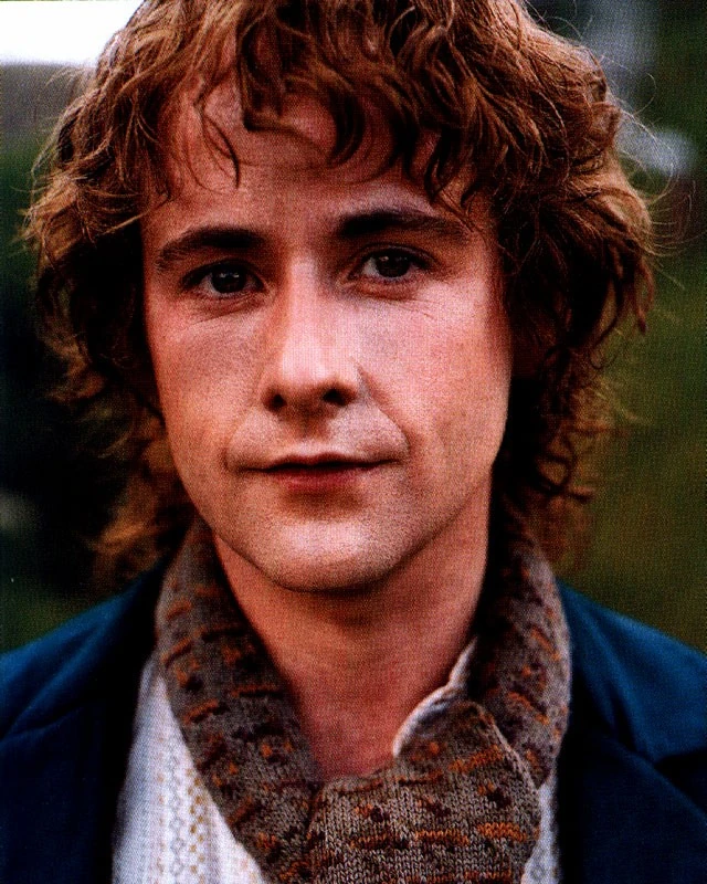 Pippin The Wiki for MiddleEarth Fandom powered by Wikia