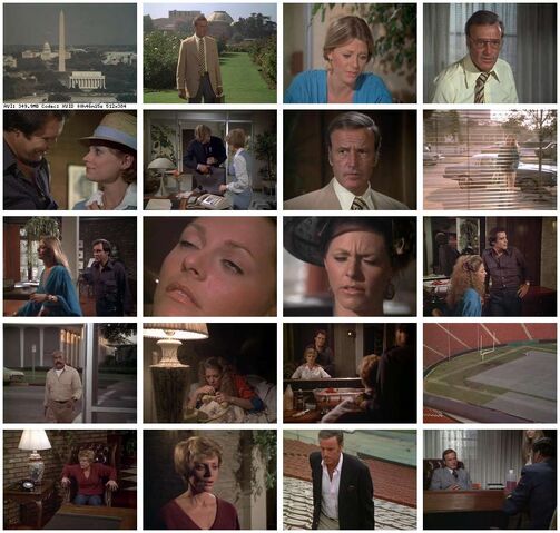 File:Th-The.Bionic.Woman.S03E08.DVDrip.XviD-SAiNTS.jpg