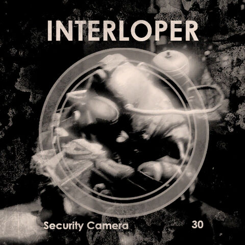 File:Security Interloper.jpg