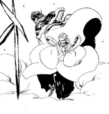 559Rukia and Renji arrive.png
