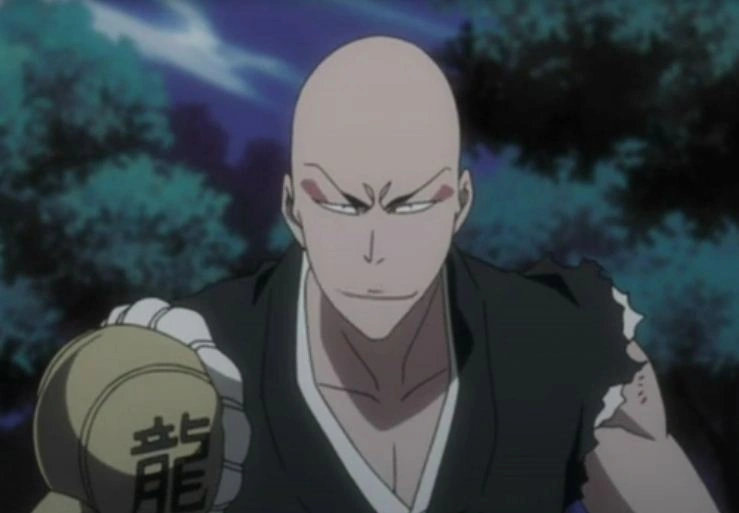 Madarame Ikkaku Bleachwiki Fandom powered by Wikia