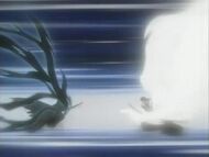 Byakuyavsichigo.jpeg