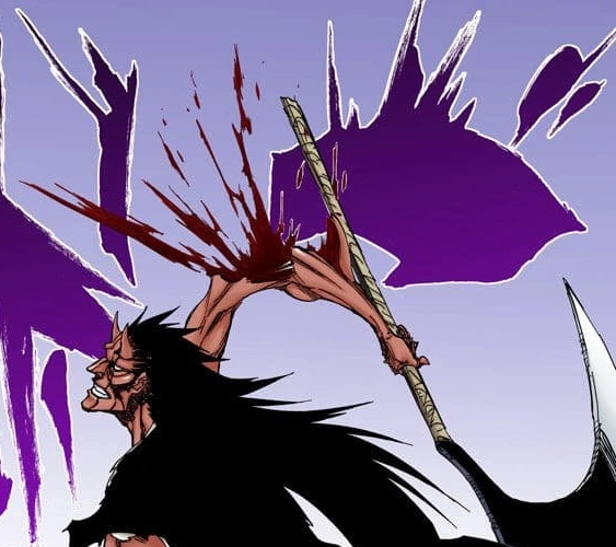 Image 670Kenpachi loses his arm.png Bleach Wiki FANDOM powered by
