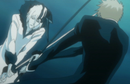 Ichigo vs Zangetsu Tensa