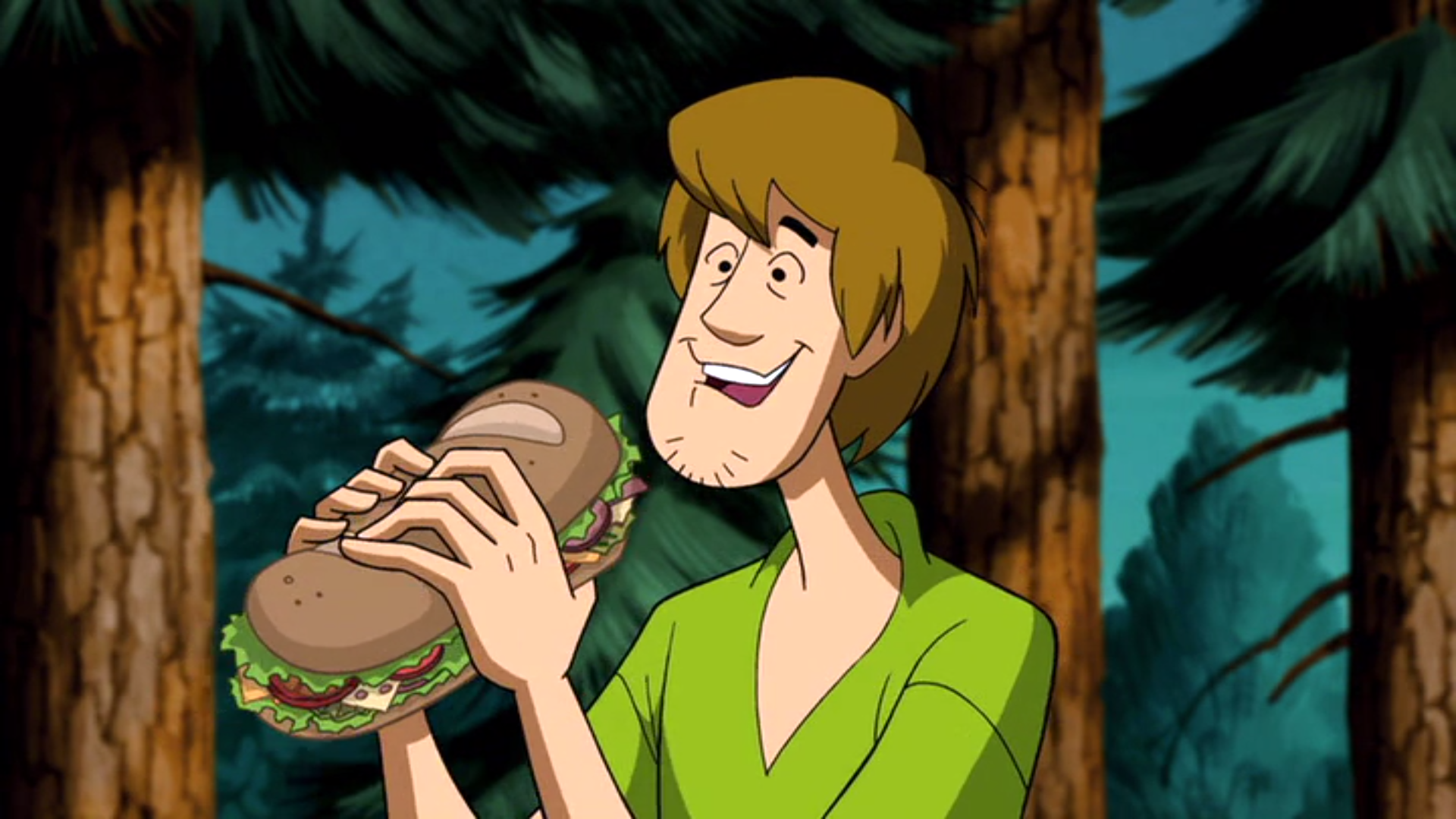 Shaggy Rogers | The Powerpuff Girls: Action Time Wiki | Fandom powered