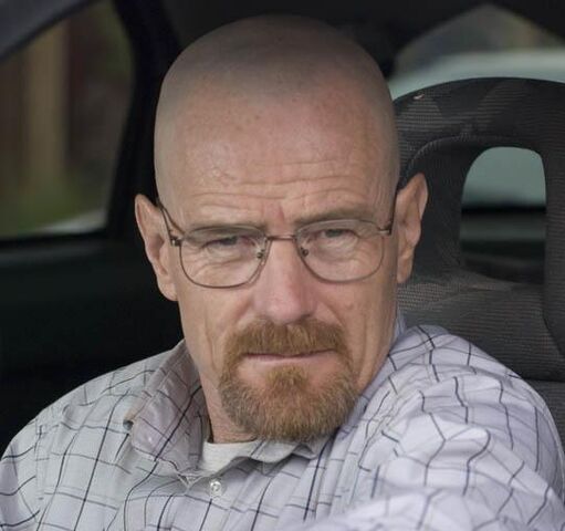 File:WaltS3.jpg