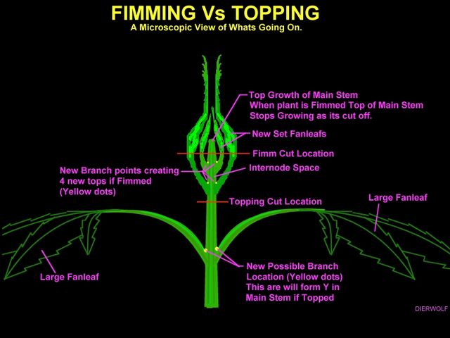 File:Fimming v topping.jpg