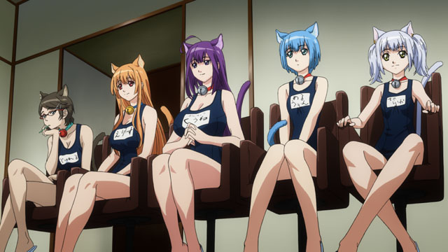 Cat Planet Cuties Food Cat Planet Cuties Food