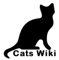 http://cats.wikia.com/wiki/Category:Cats_Wiki (5 KB) http://cats.wikia