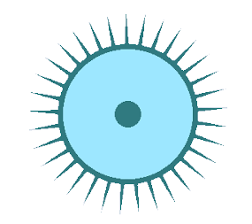 Glueocyte.png