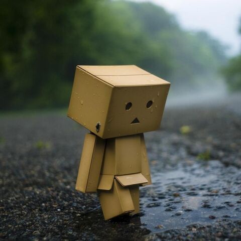 File:Sad Danbo.jpg